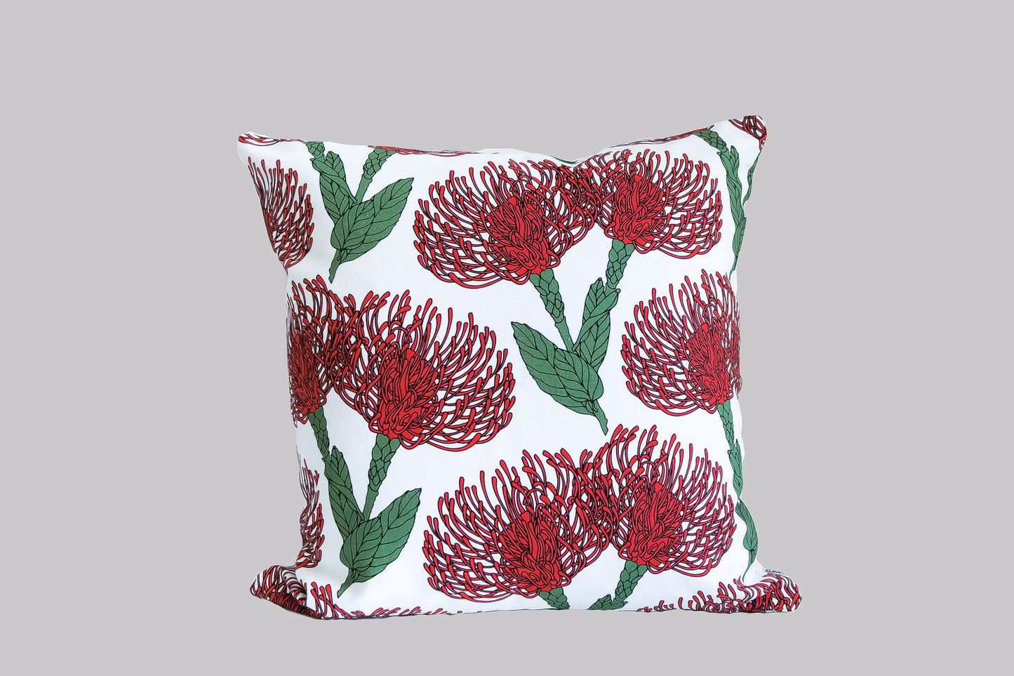 Pin cushion Protea Red on White
